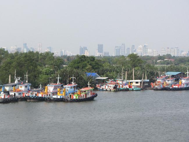 Fishing boats