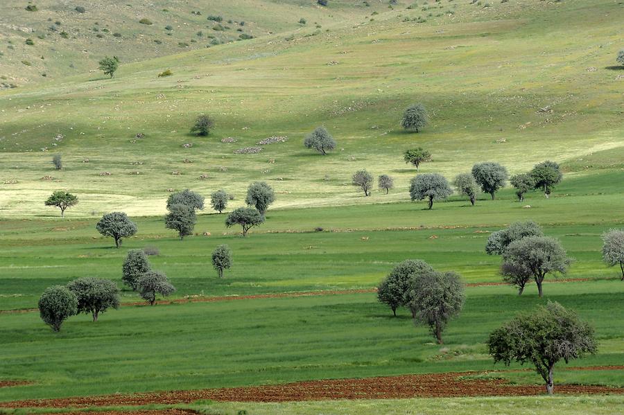 Landscape surrounding Eğirdir
