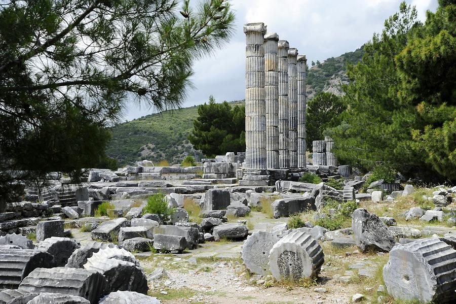 Priene - Temple of Athena