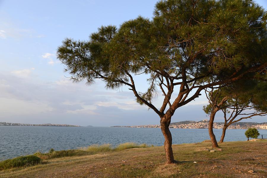 Coast near Ayvalık
