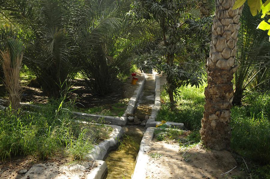 Falaj Al Ain Oasis
