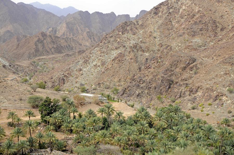 Wadi Hayl Fujairah