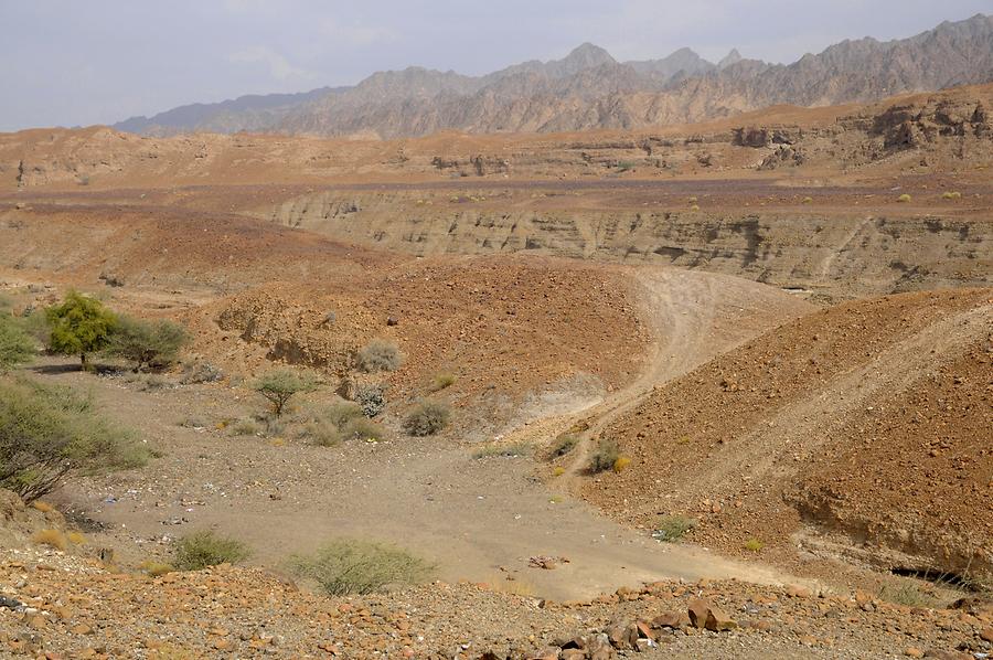 Wadi near Hatta
