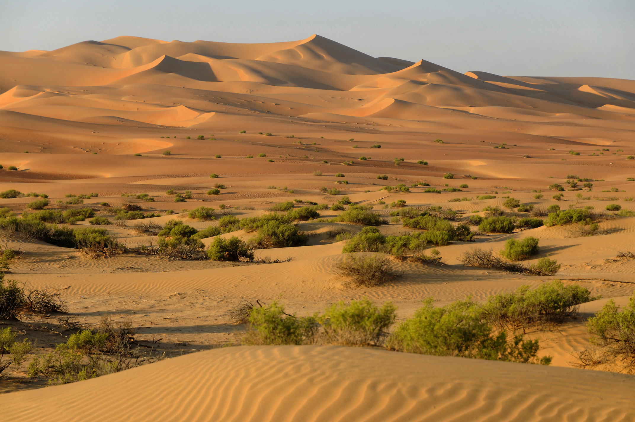 Пустыни на Ближнем востоке