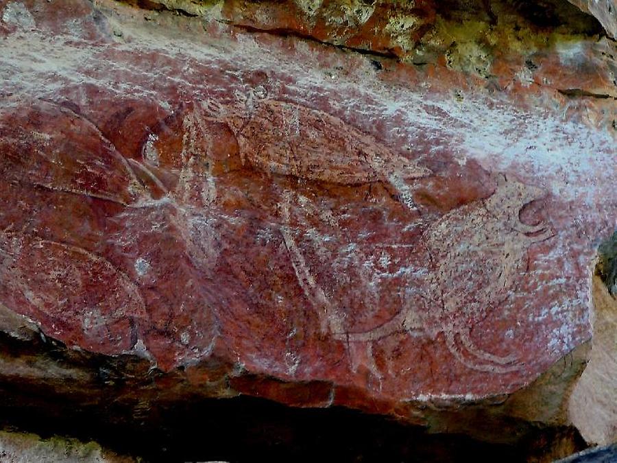 Rock paintings near Ubirr