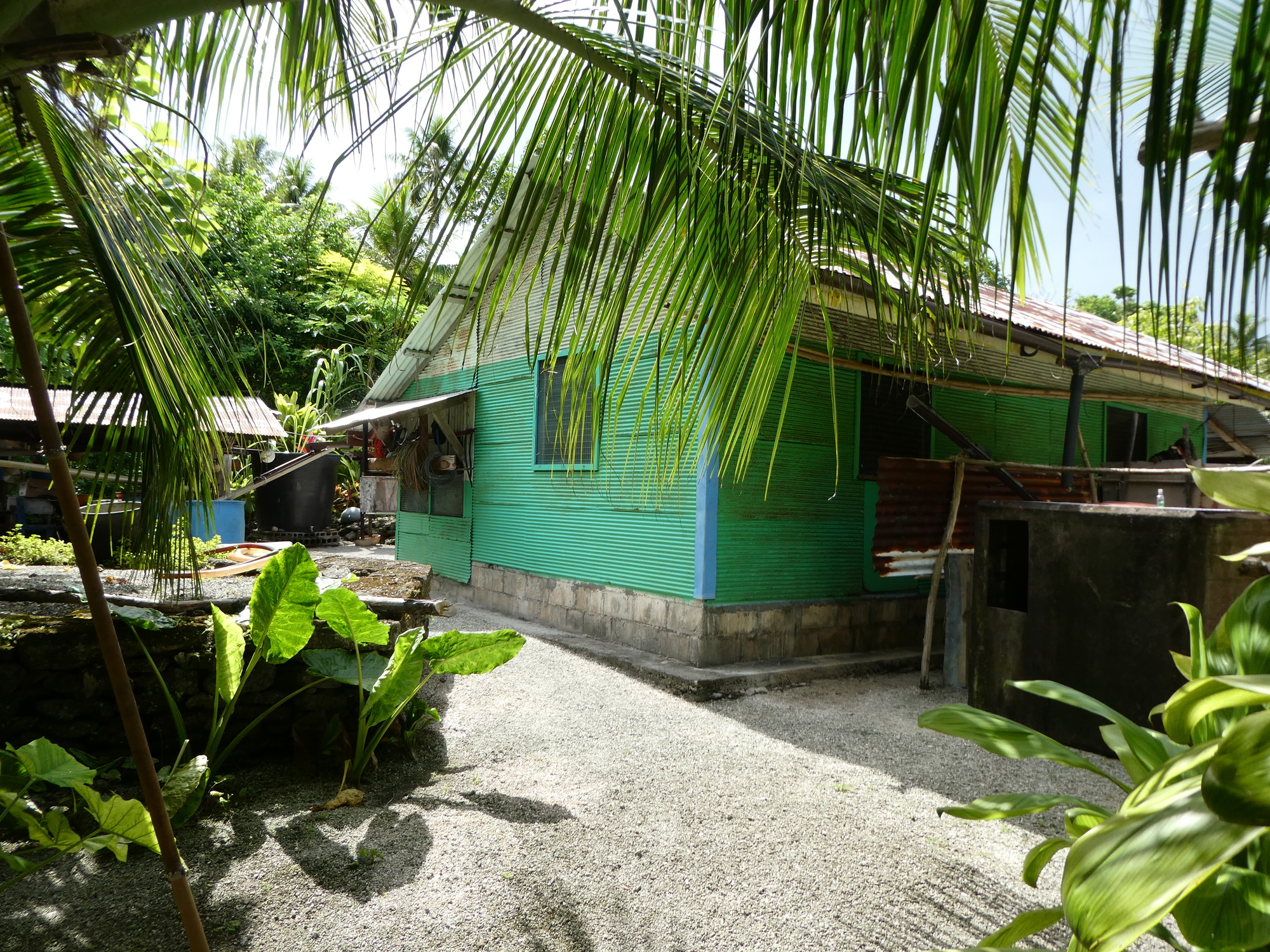 Ngulu - Island; Residence (2) | Ngulu Atoll, Lamotrek Atoll and Ulul ...