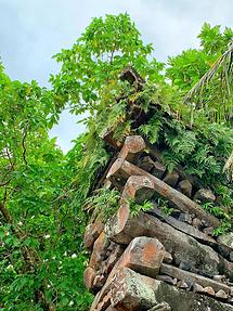 Pohnpei - Ruins of Nan Madol (3)