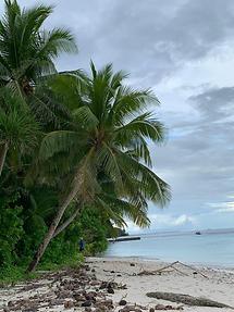 Jaluit Atoll - Enejet Island (2)
