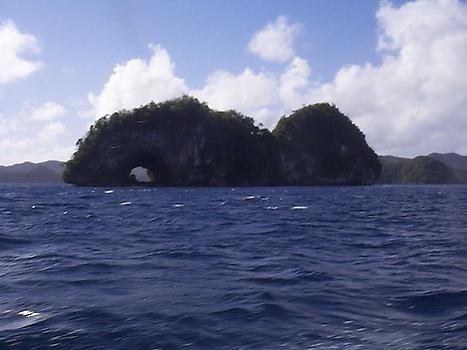 Typical mushroom island