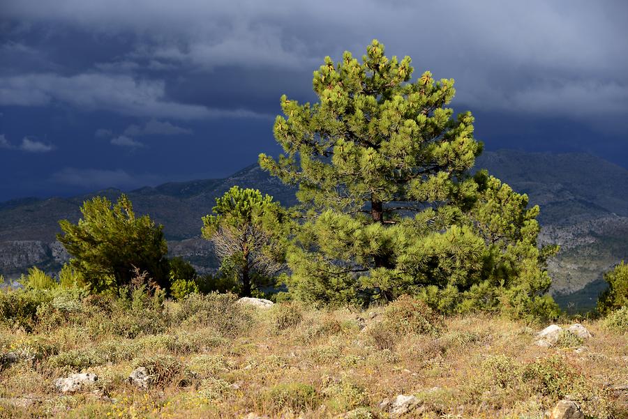 Stormy Atmosphere on Srđ Mountain