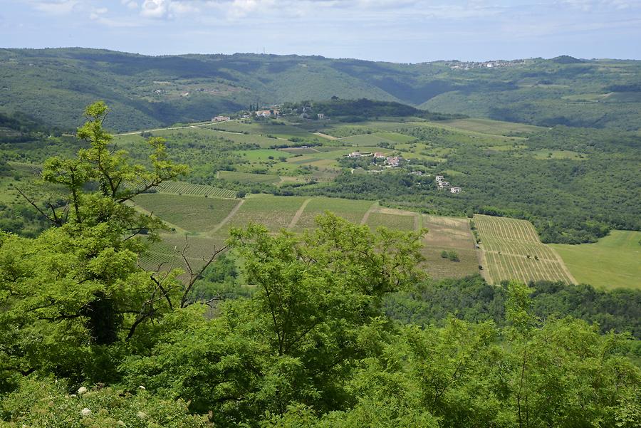Landscape near Grožnjan