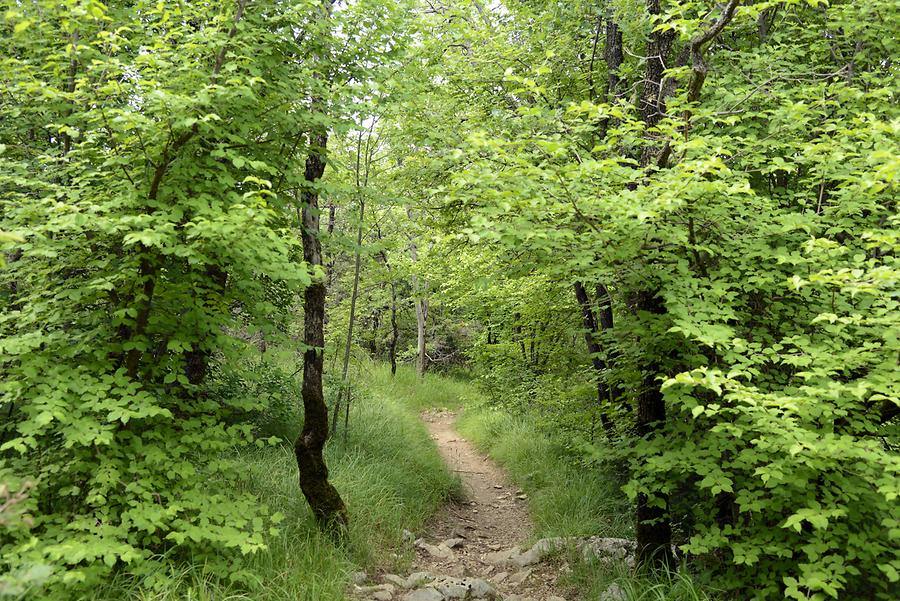 Path to the Vranjska Draga Canyon