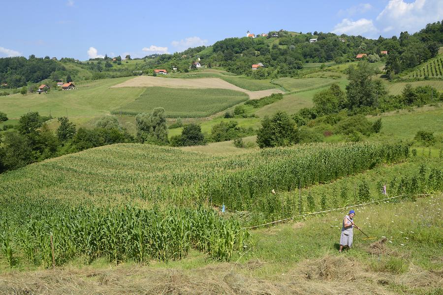 Landscape near Veliki Tabor Castle
