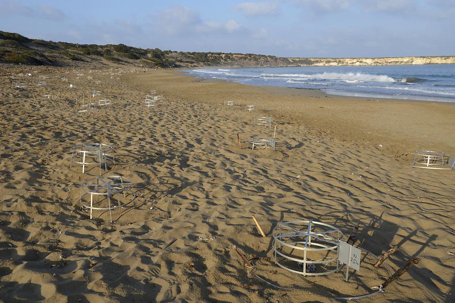 Amoudi Beach - Sea Turtle Nesting