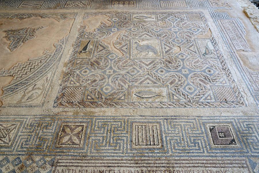 Kourion - House of Eustolios, Mosaics