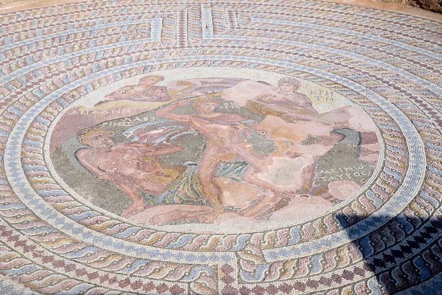 House of Aion - Mosaics