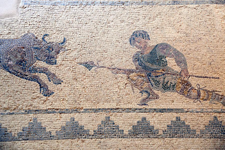 House of Dionysos - Mosaics