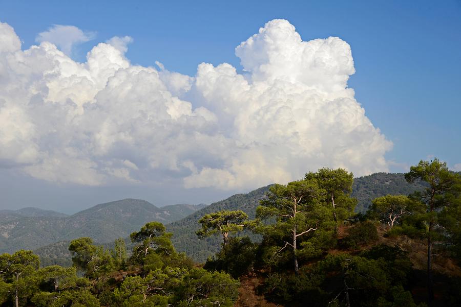 Troodos Mountains - After the Thunderstorm
