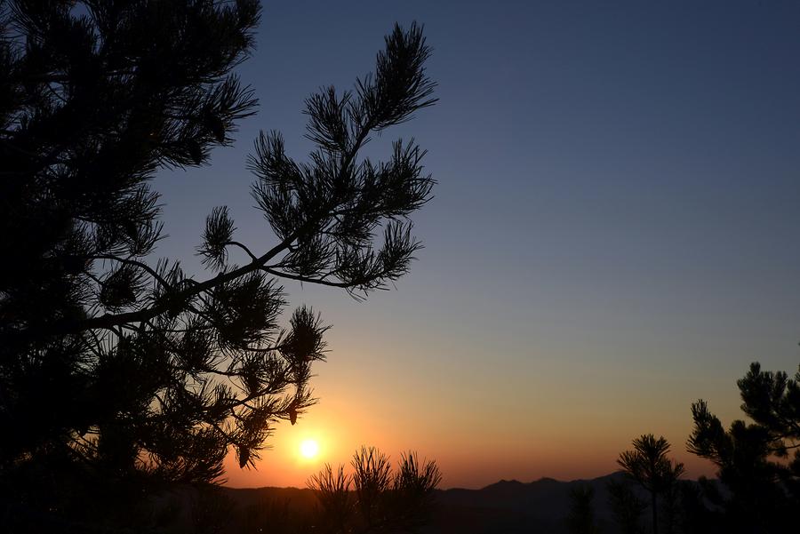 Troodos Mountains - Sunrise