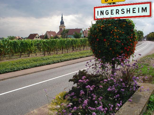 Alsatian Wine Route (1)
