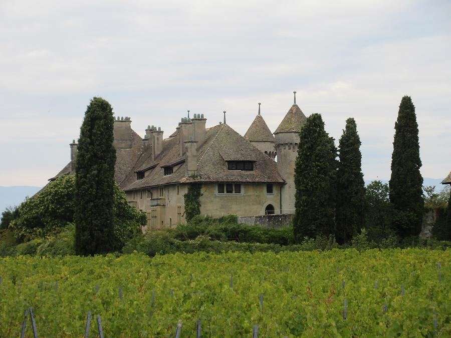 Thonon-les-Bains - Chateau de Ripaille