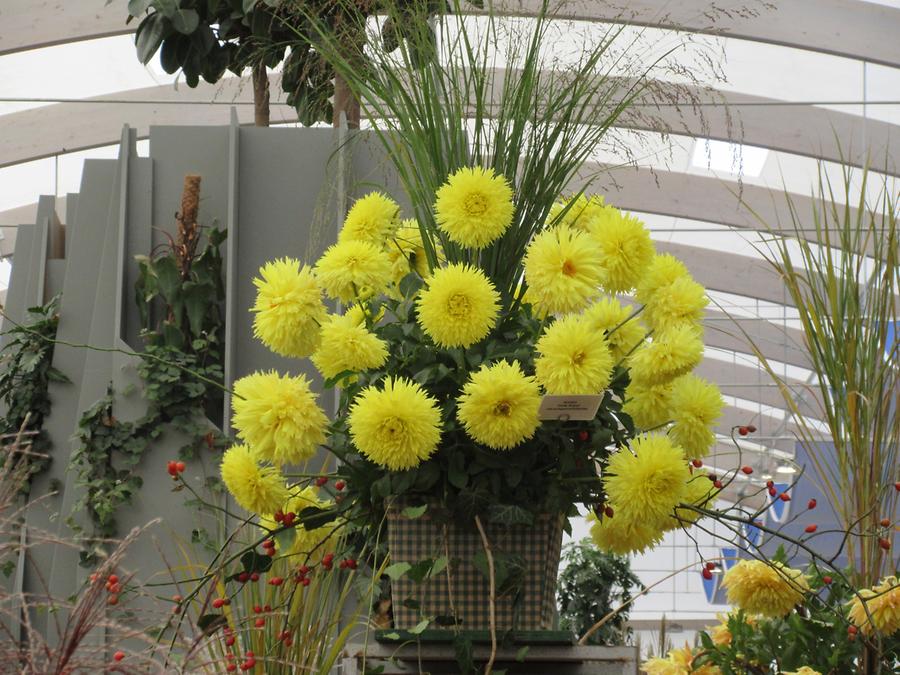 Gardens of the World - Exhibition Hall; Flower Arrangement