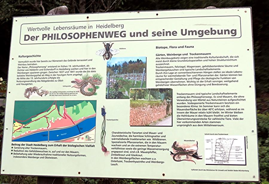 Heidelberg - Philosophers' Walk