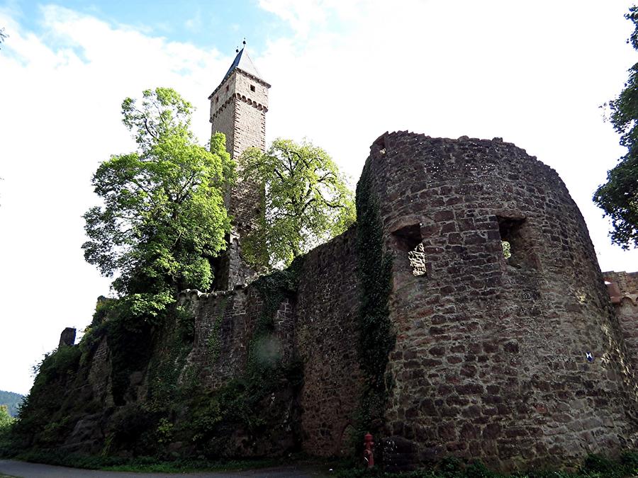 Hirschhorn - Castle Ruin near Neckar River