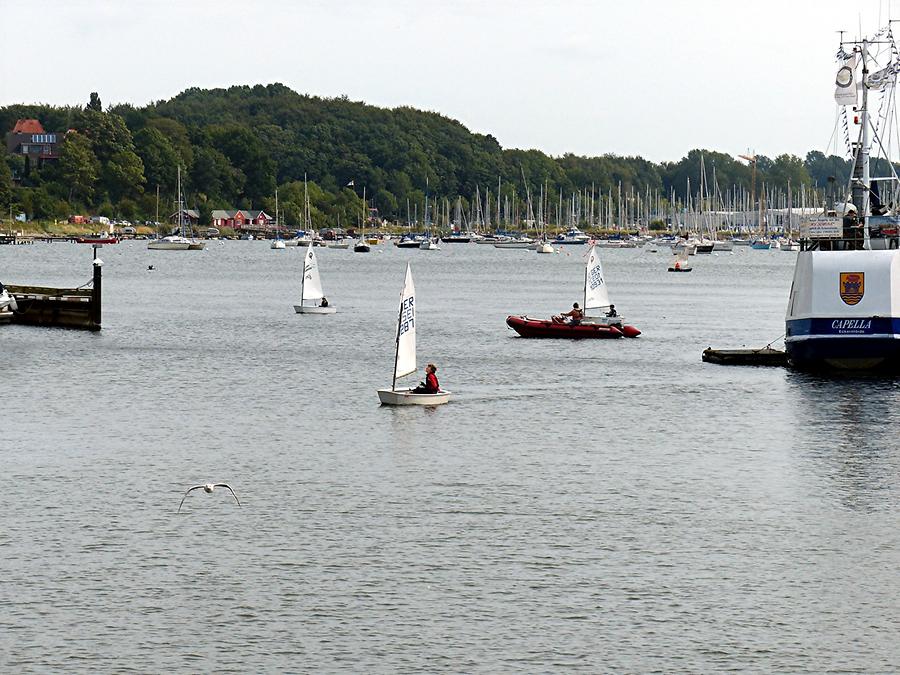 Eckernförde - Sailing Course for Children