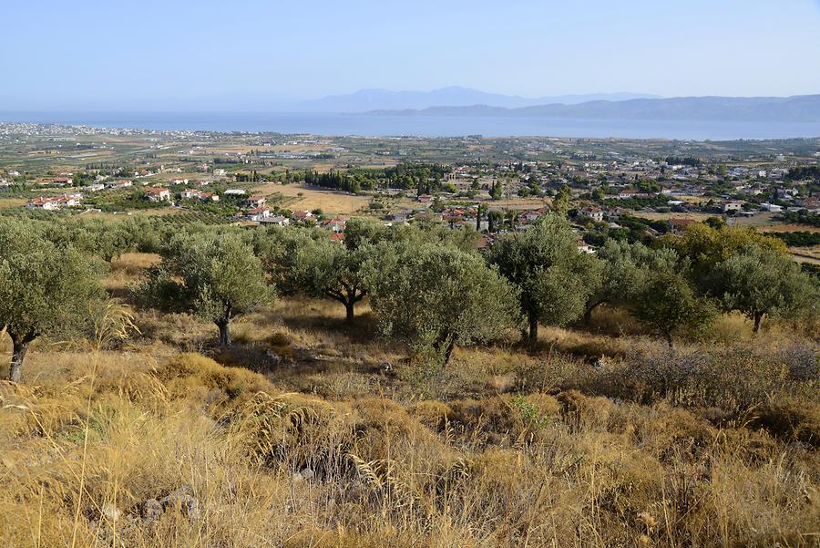 Corinth Plain
