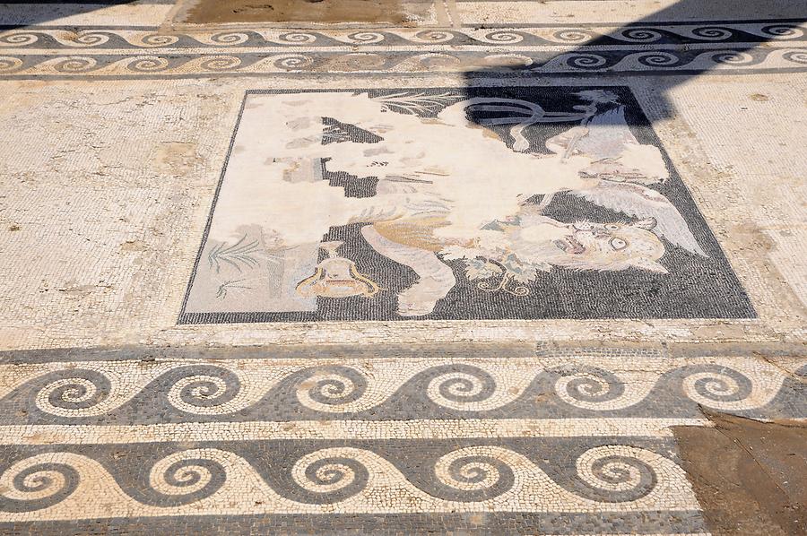 House of Dionysus' - Mosaic