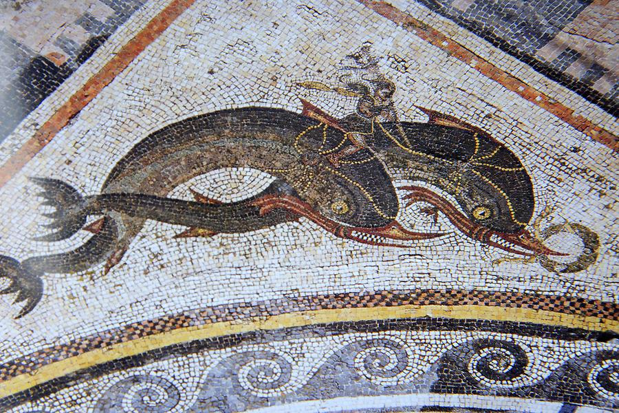 Apollon with Dolphins