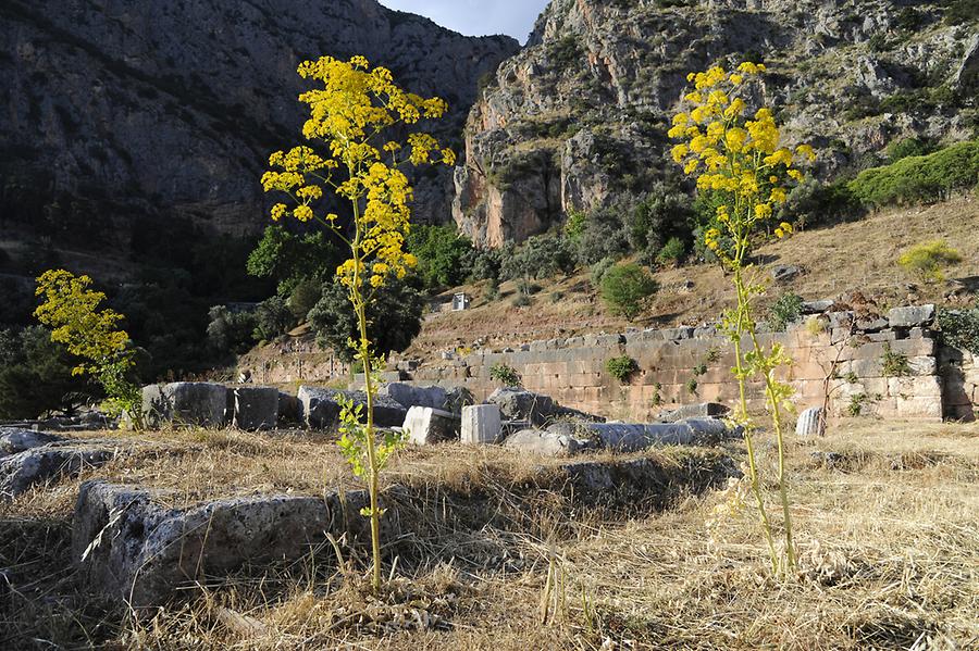 Gymnasium Delphi