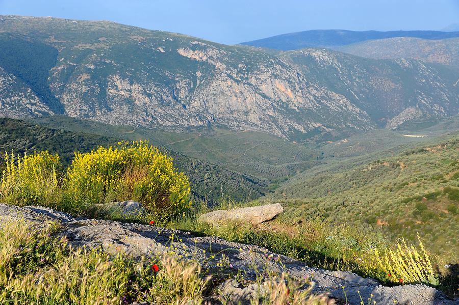 Landscape at Osios Loukas