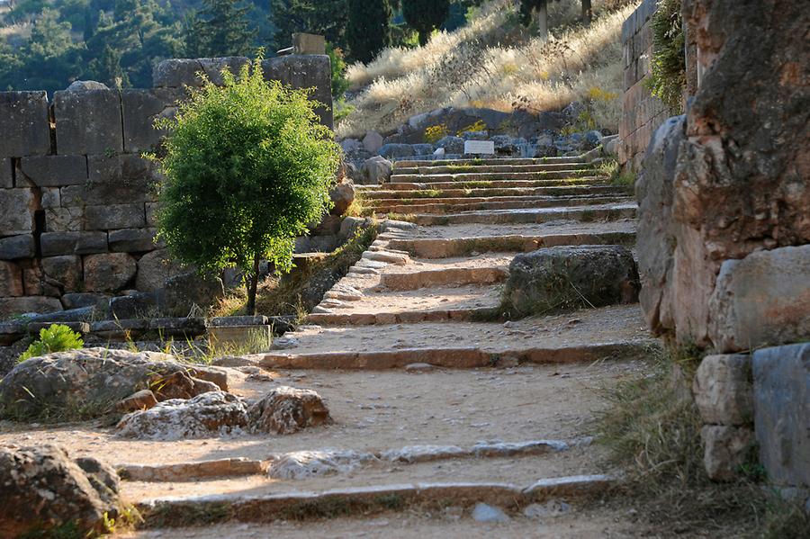 Sacred Path Delphi