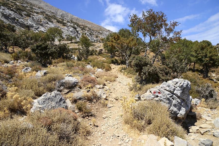 Path to the Cave of Zeus on Nida Plateau