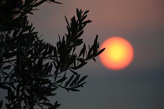 Sunrise at Tyros (3)