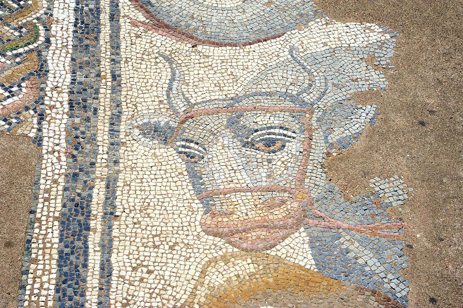 Dion Villa Mosaics