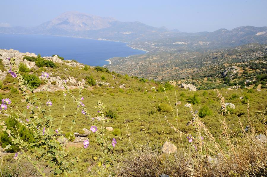 Landscape near Spatharei