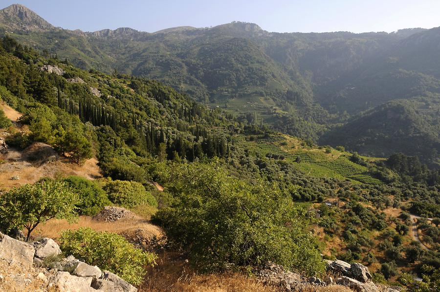 Landscape near Vourliotes