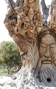 Tree stump as sculptured by hippies
