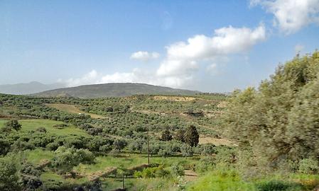 The fertile Messara valley 1