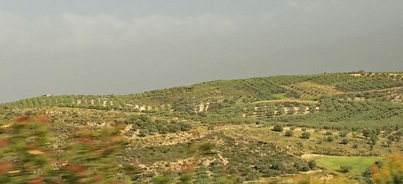 The fertile Messara valley 2