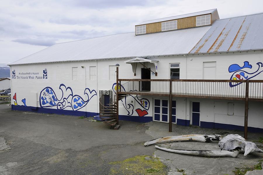 Húsavik - Whale Museum