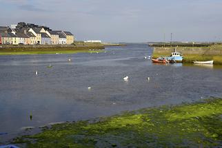 Galway (1)