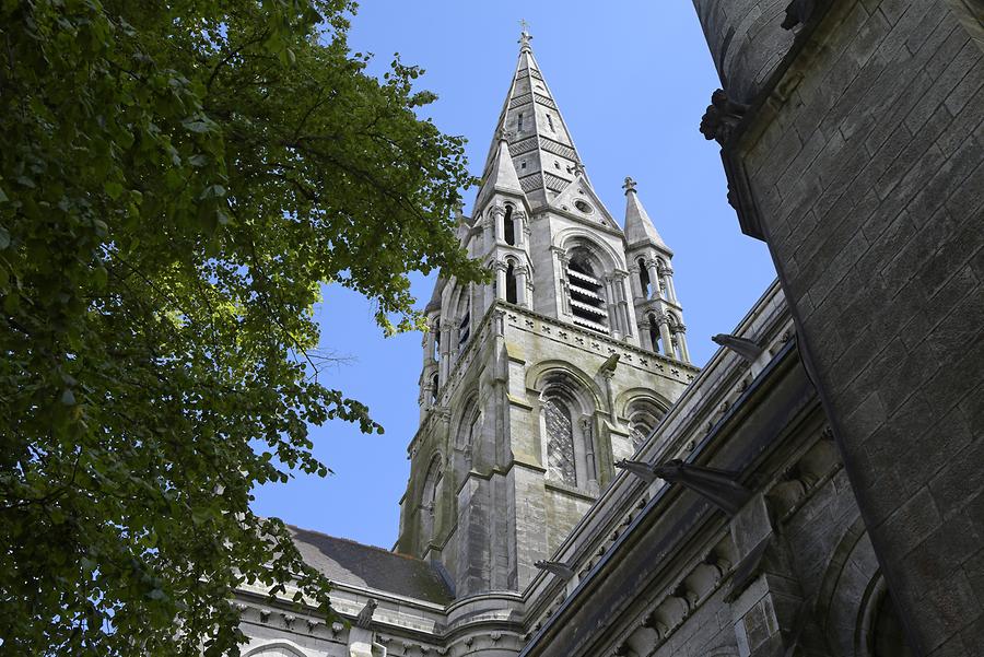 Cork - Saint Fin Barre's Cathedra