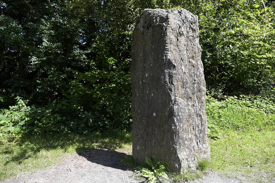 Irish National Heritage Park - Ogham Stone