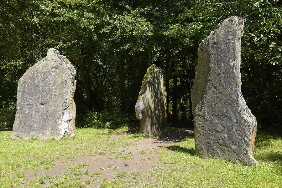 Irish National Heritage Park - Rune Stone