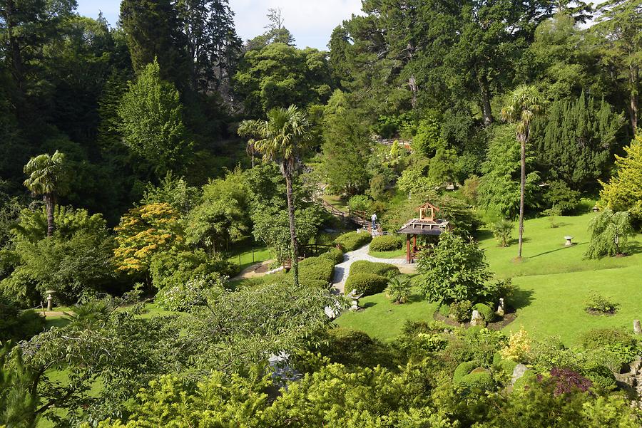 Powerscourt House & Gardens - Japanese Garden