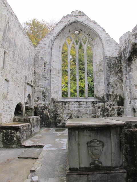 Muckross Abbey (3)